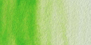 Antique Spring Green