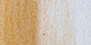 Metallic Pirate Gold