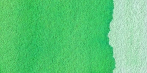 Yellow Green