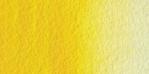 Cadmium Yellow Light