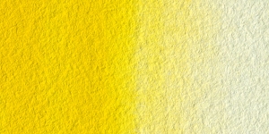 Cadmium Yellow Medium