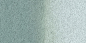 Davy's Gray