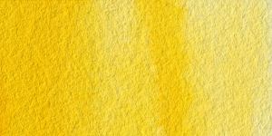 Gamboge Hue