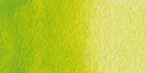 Leaf Green