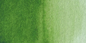Sap Green