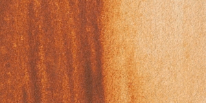 Burnt Sienna