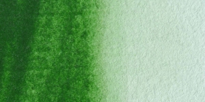 Hooker's Green