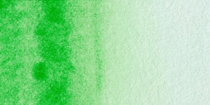 Permanent Green Light