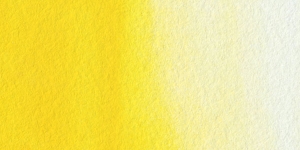Primary Yellow