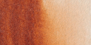 Transparent Mars Brown
