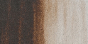Burnt Umber
