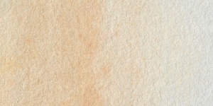Flesh Tint
