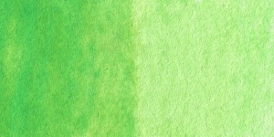 Permanent Green Light