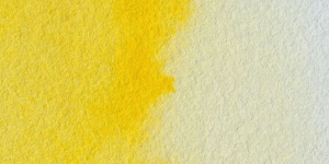 Permanent Yellow Lemon