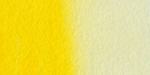 Primary Yellow