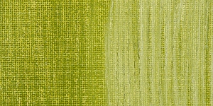 Marsh Green