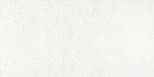 Titanium White