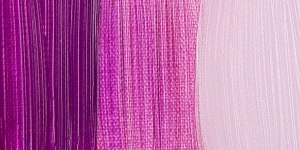 Cobalt Rose