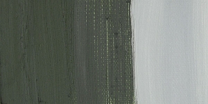 Davy's Gray