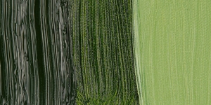 Permanent Sap Green