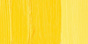 Cadmium Yellow 2 Middle