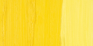 Scheveningen Yellow Medium