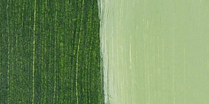 Sap Green Permanent