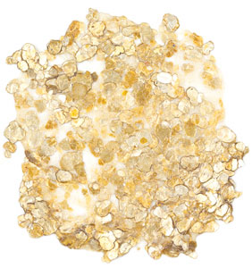 Gold Mica Flake (Large) No. 4078