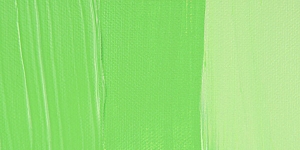 Light Green Yellow Shade