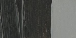 Neutral Gray N2