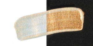 Interference Orange (Fine)