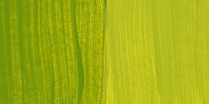 Green Gold