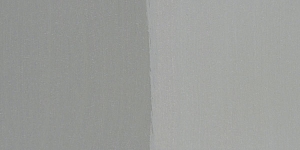 Neutral Gray