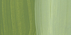 Vines