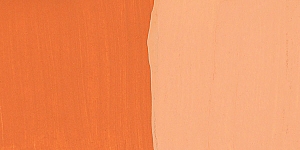Butternut Squash