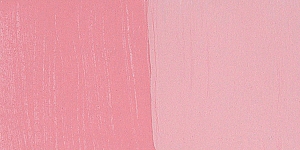 Pink Carnation
