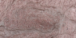 Antique Pink
