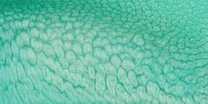 Almond Green