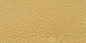 Antique Gold