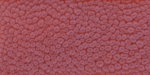 Antique Pink