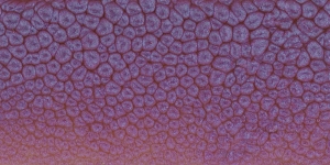 Bluish Pink