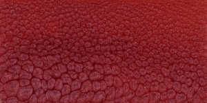 Cherry Blossum