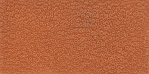 Cinnamon