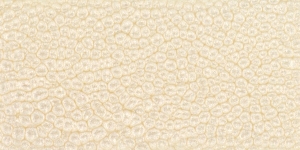 Eggshell White