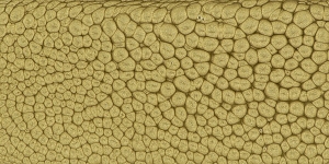 Green Gold
