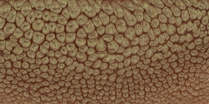 Green Umber