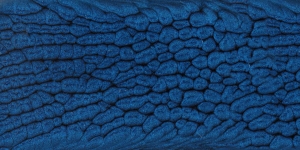 Midnight Blue