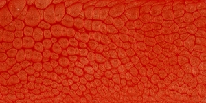 Vermilion