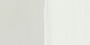 Warm Gray1