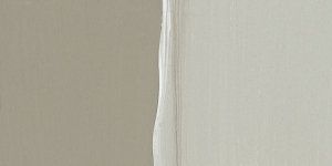 Warm Gray 3